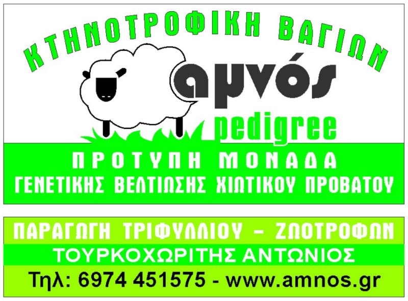 Αντώνιος Τουρκοχωρίτης
